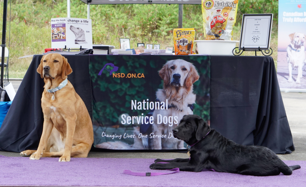 A yellow lab and a black lab sit in front of a table with a National Service Dogs banner on it.