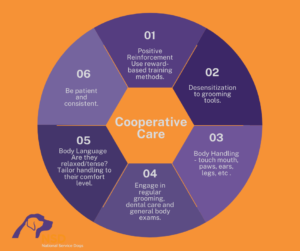 Info Graphic - K9 Cooperative Care