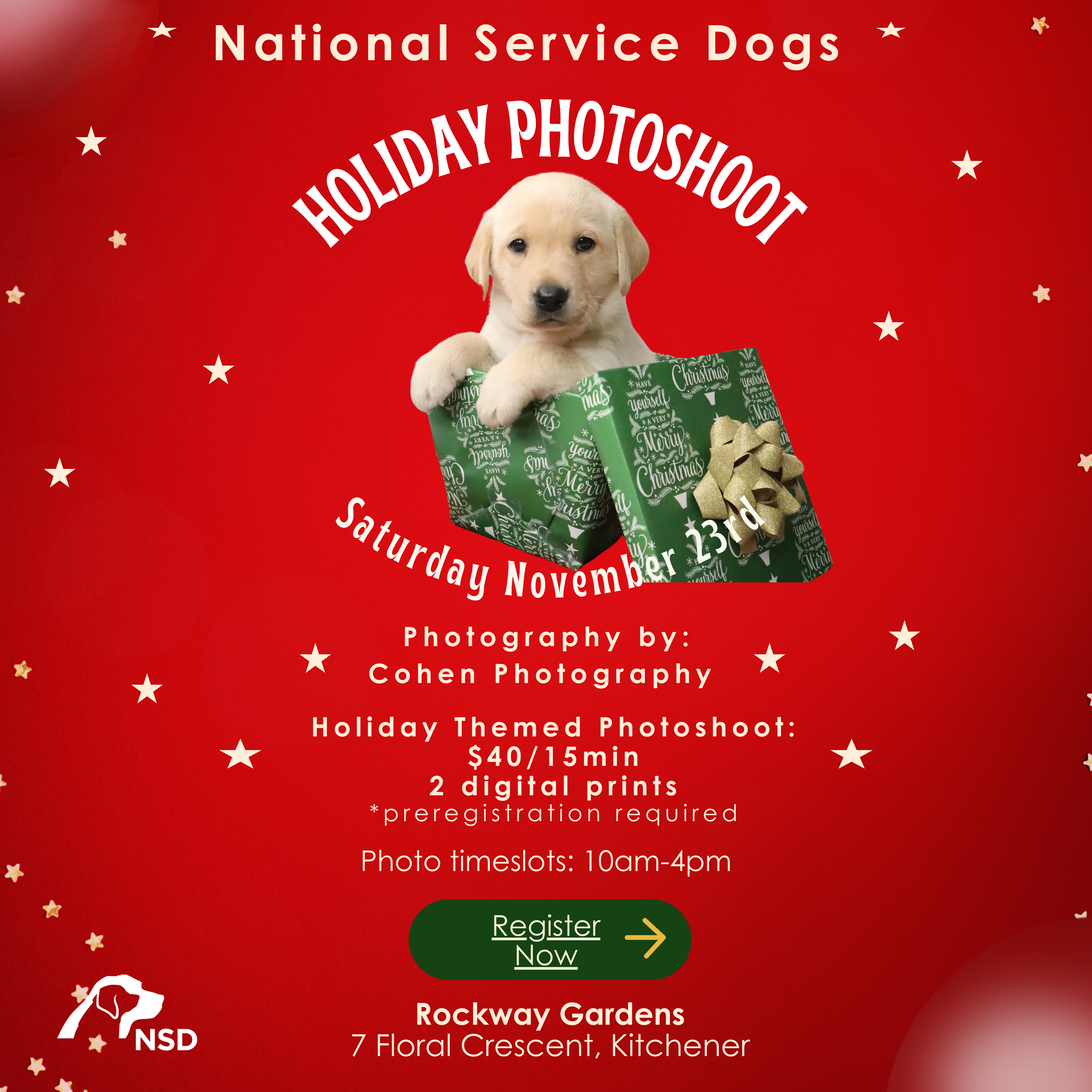 Holiday Photoshoot graphic